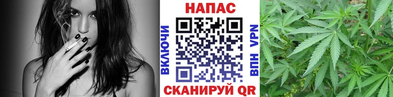 Бошки Шишки OG Kush  магазин    Облучье 